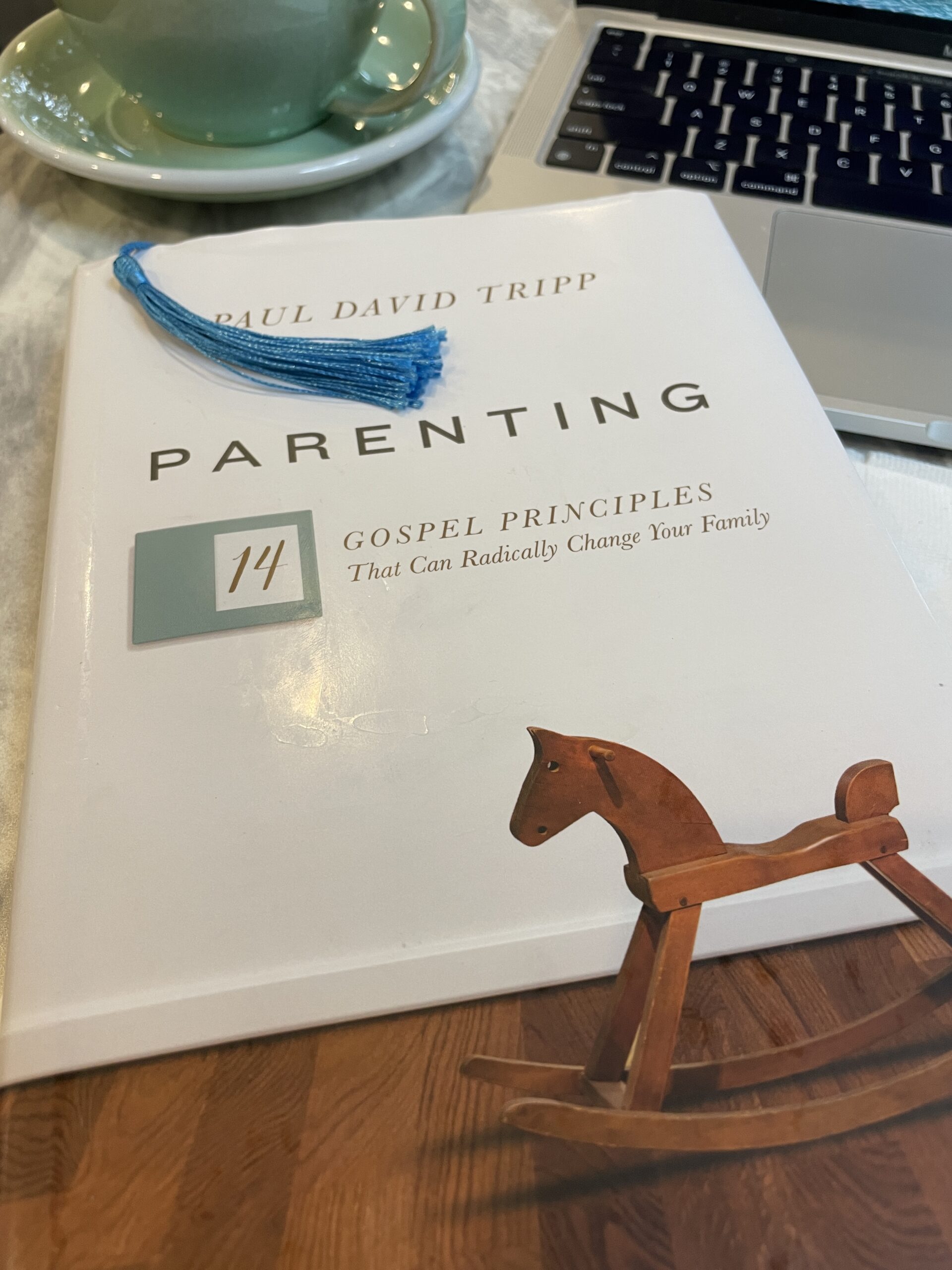 parenting: 14 gospel principles that can radically change your family by paul david tripp book